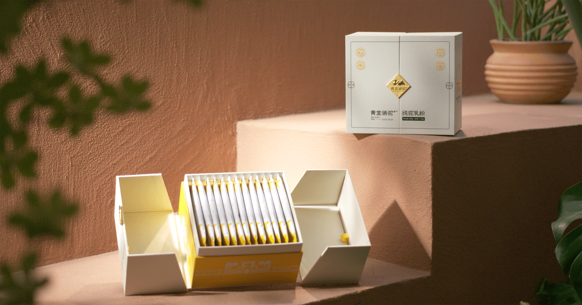 定位小众高端乳粉，jinnianhui今年会推出驼奶品牌“黄金骆驼+”，角逐乳品新市场！